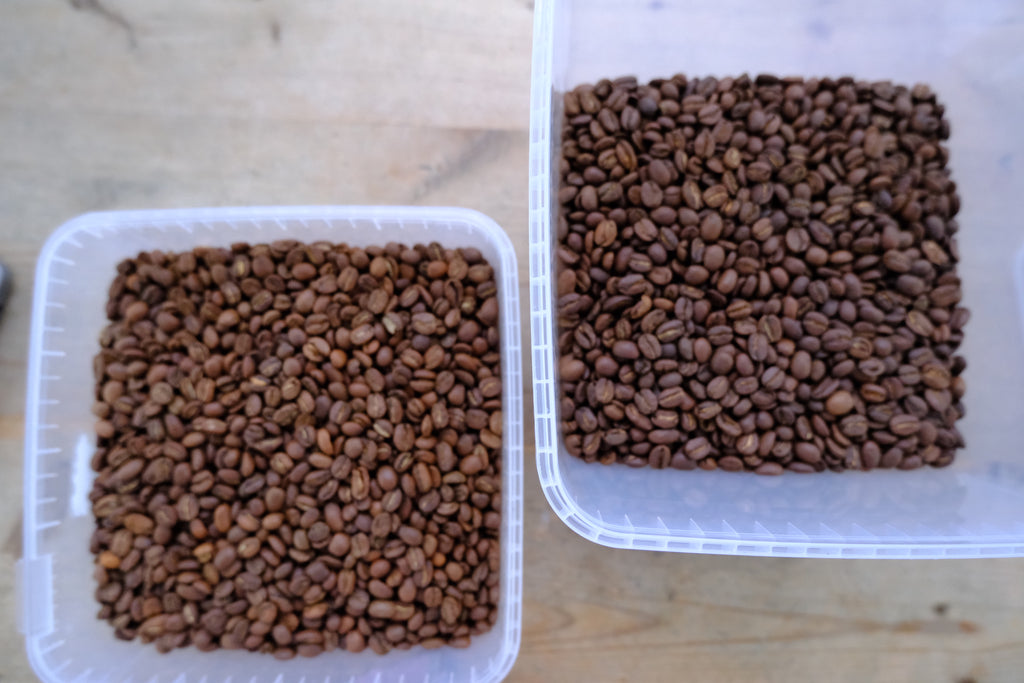 Baio Coffee – Tanzania, Pea berry, Lysristet (250 g)
