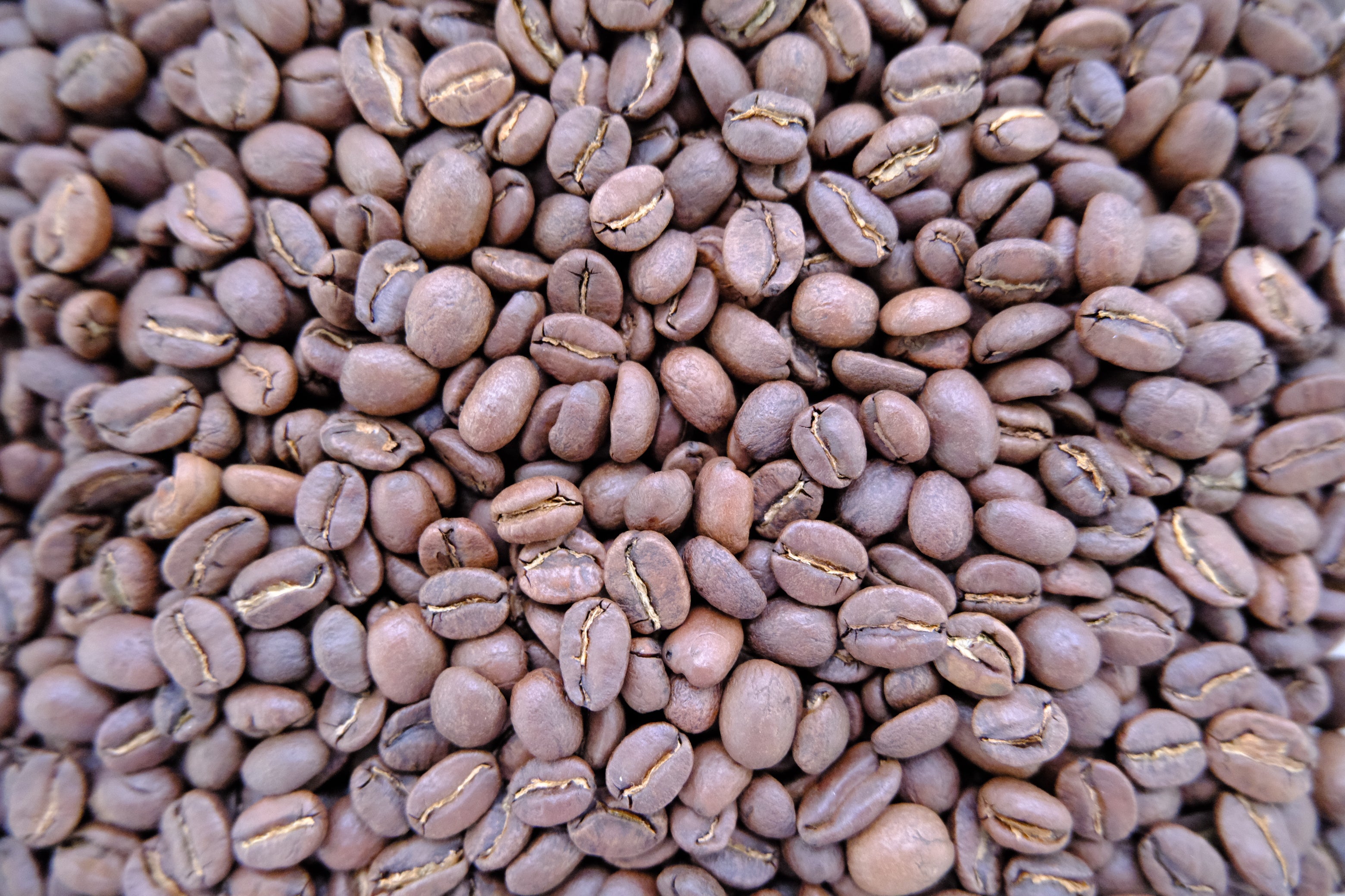 Baio Coffee – Mellemristet (250 g)